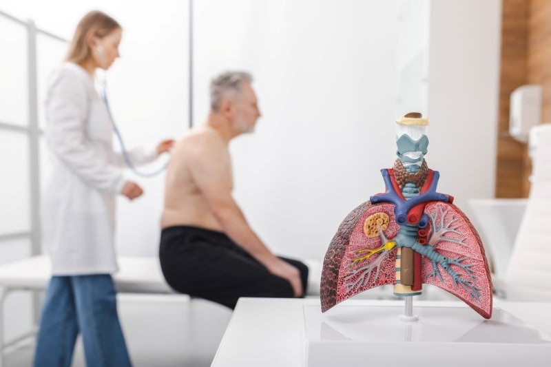 Médica examina paciente para verificar sinais de pneumonia. À frente, um modelo que simboliza os pulmões.
