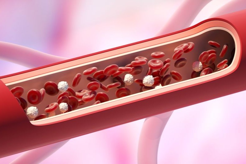 Ilustração de um vaso sanguíneo com glóbulos vermelhos e partículas de gordura circulando no interior, representando o colesterol VLDL e o acúmulo de lipídios na corrente sanguínea.